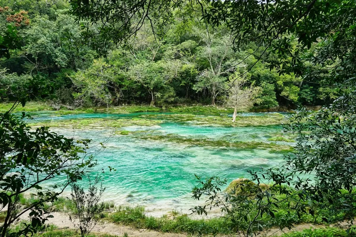 Río de agua turquesa en la Huasteca Potosina